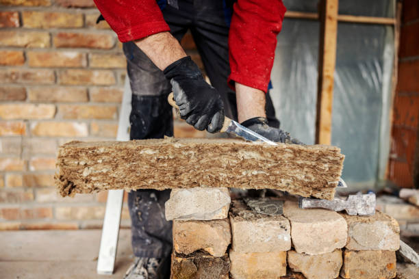 Best Insulation Replacement Services  in Seagraves, TX