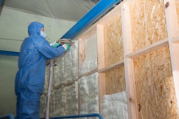 Best Insulation Replacement Services  in Seagraves, TX